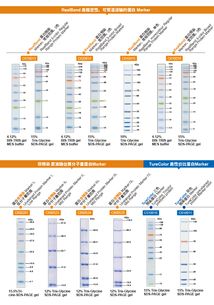生工生物蛋白marker加強版限時促銷——優(yōu)質(zhì)生命科學產(chǎn)品與技術(shù)服務助力科研創(chuàng)新