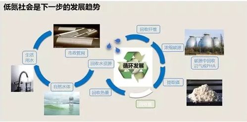 王凱軍 水業(yè)技術(shù)發(fā)展瓶頸與行業(yè)發(fā)展趨勢及技術(shù)服務創(chuàng)新